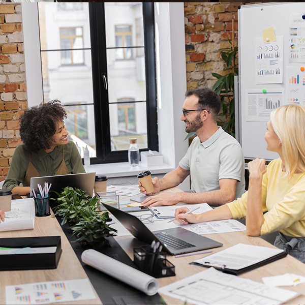 CSE (Comité Social et Économique)